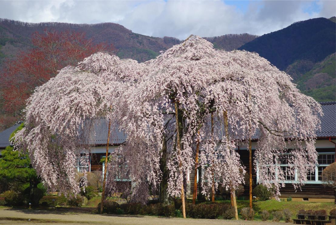 ليدا Ryokan Ootaya المظهر الخارجي الصورة